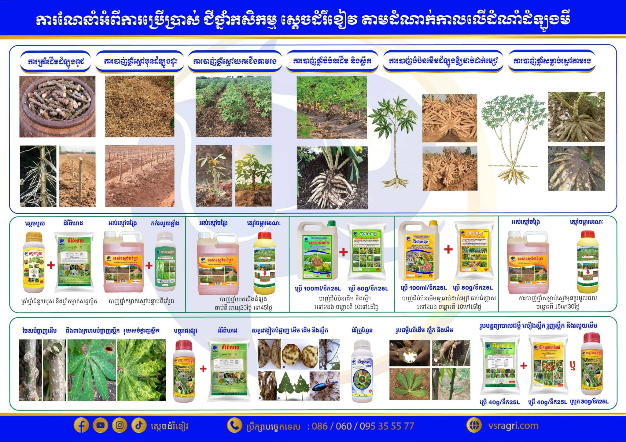 Cassava leaflet-01-min-min-min