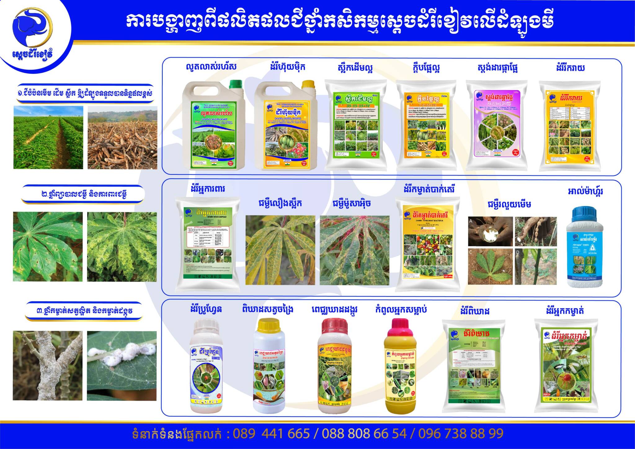 Cassava leaflet-02-min-min-min