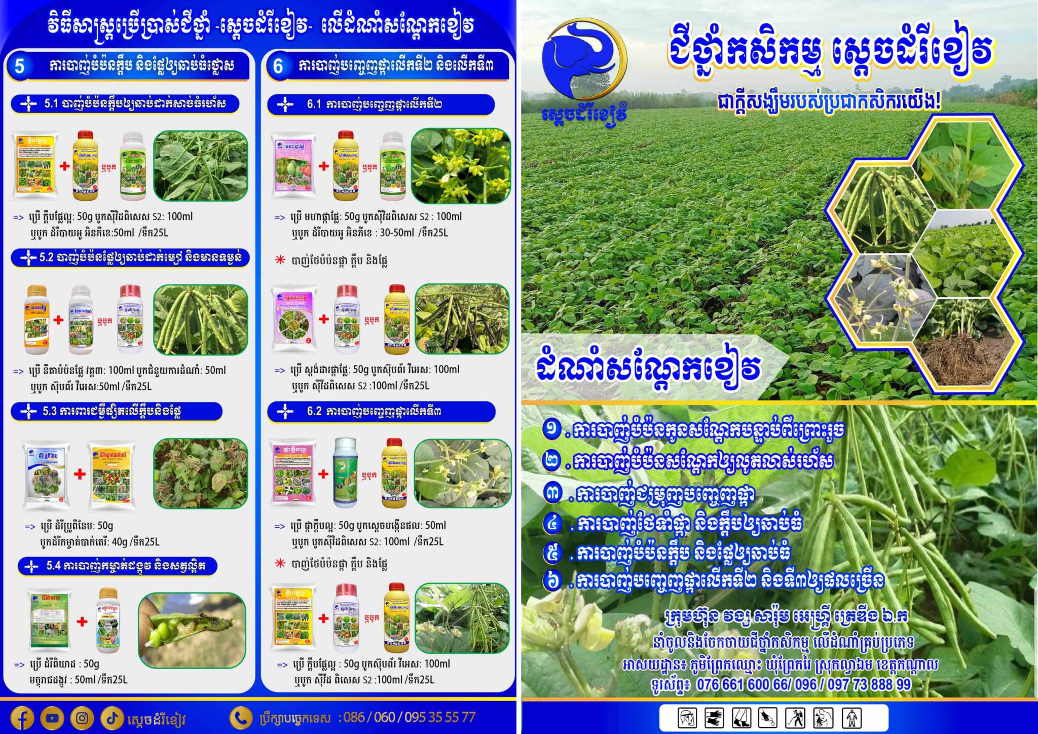 Leaflet ដំណាំសណ្ដែកខៀវ. A4-01-min-min-min