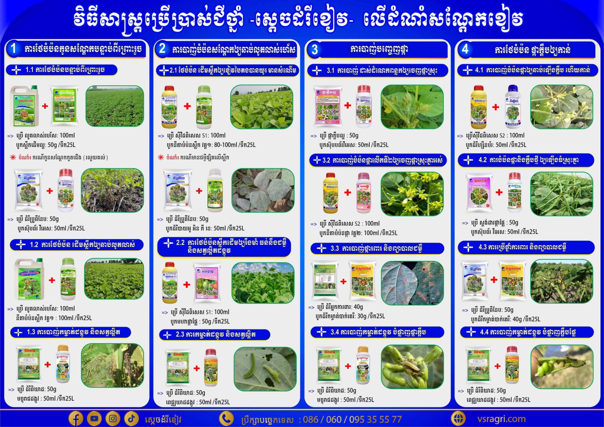 Leaflet ដំណាំសណ្ដែកខៀវ. A4-02-min-min-min