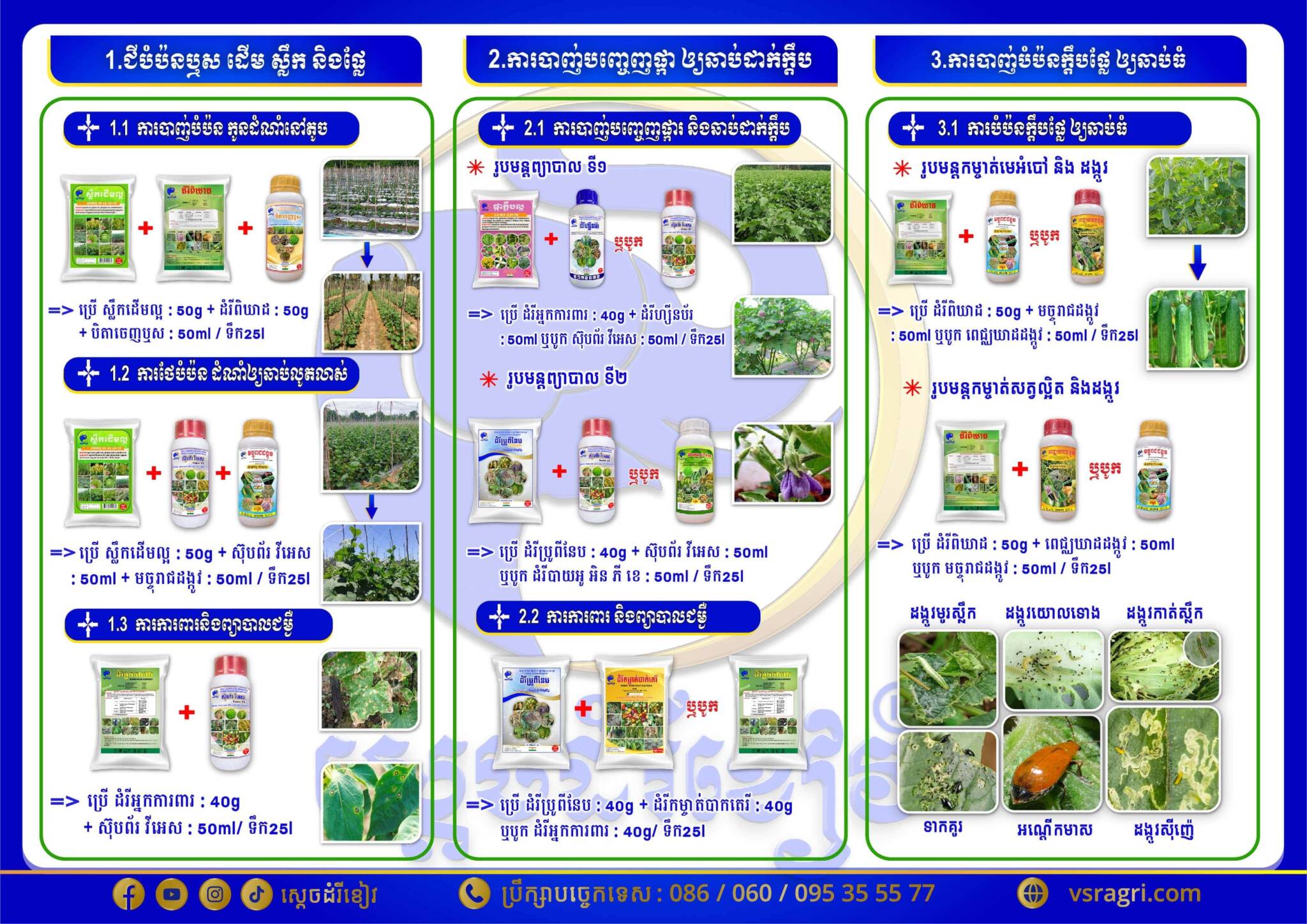 Leaflet បន្លែផ្លែ-02-min-min-min