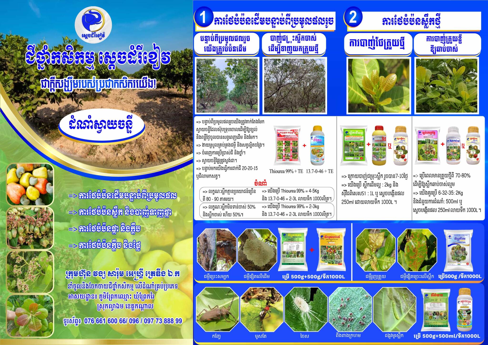 Leaflet ស្វាយចន្ទី A4t-01-min-min-min