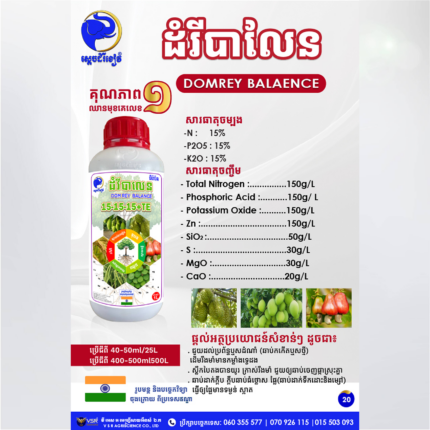 ដំរីបាលែន