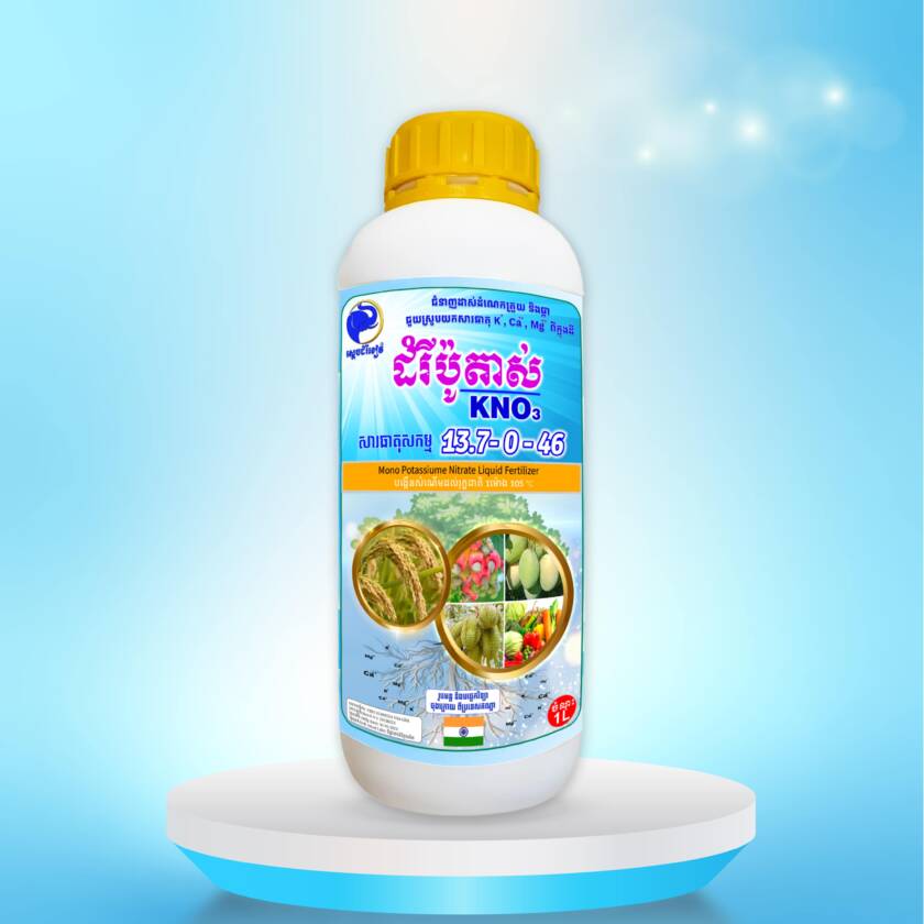 ដំរីប៉ូតាស់