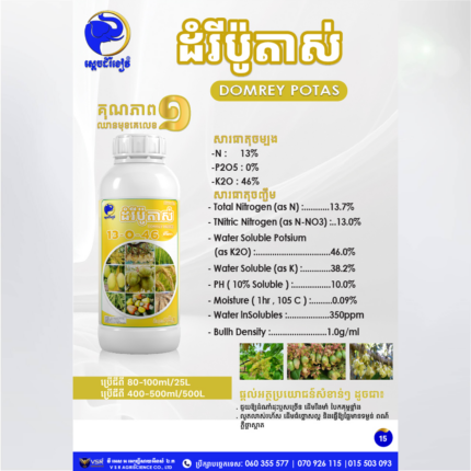 ដំរីប៉ូតាស់