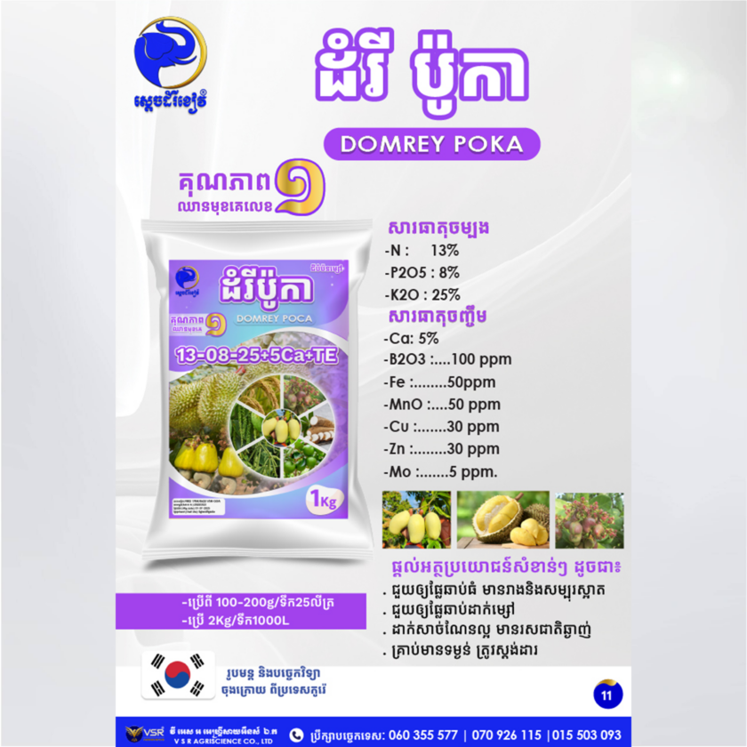 ដំរីប៉ូកា