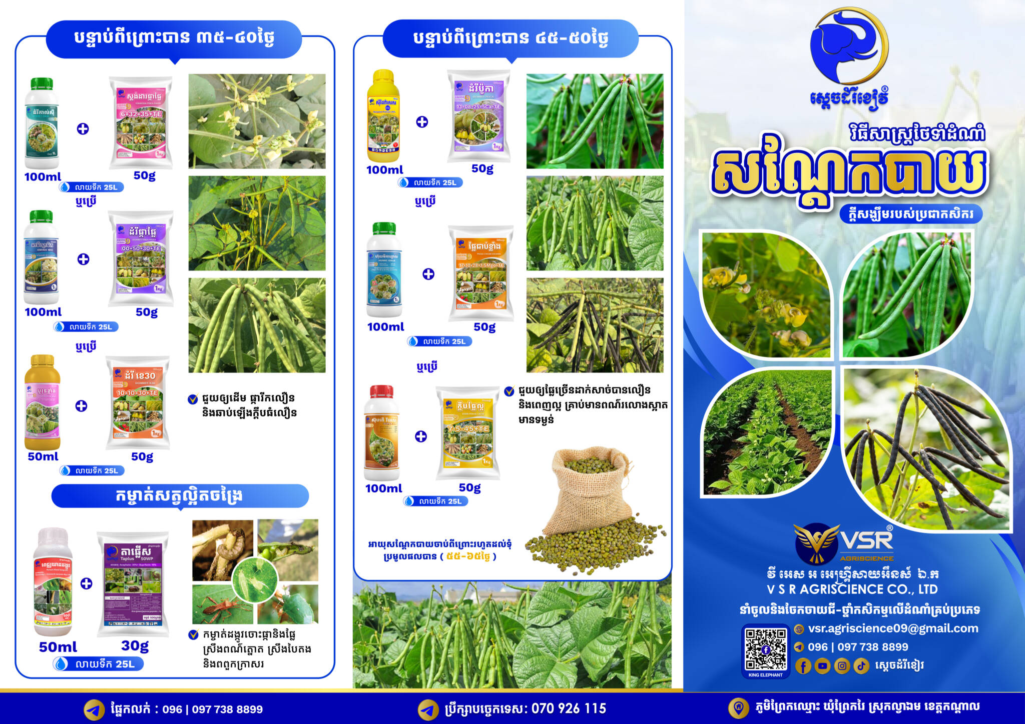 BROCHURE_Bean_KE Final-01