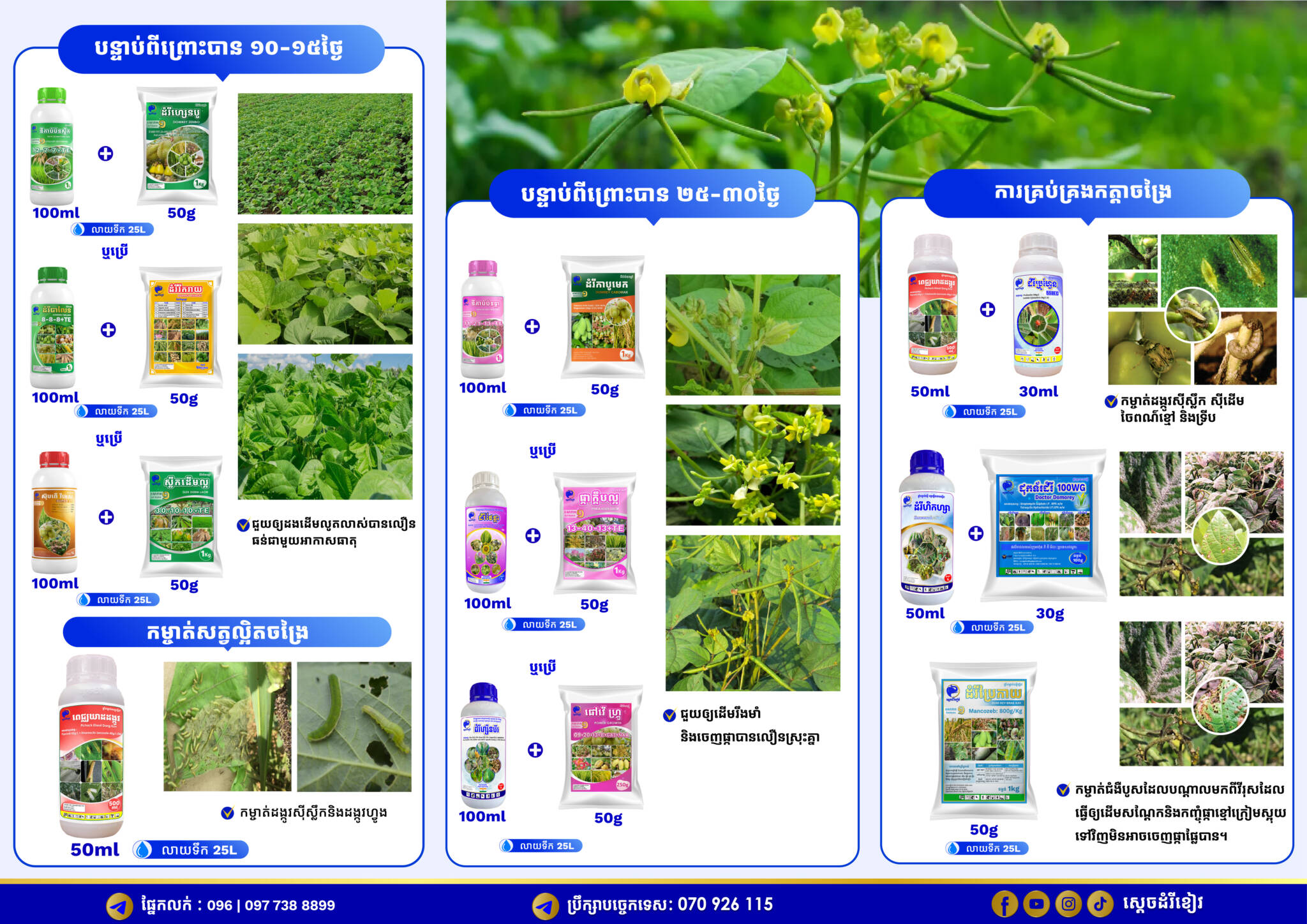 BROCHURE_Bean_KE Final-02