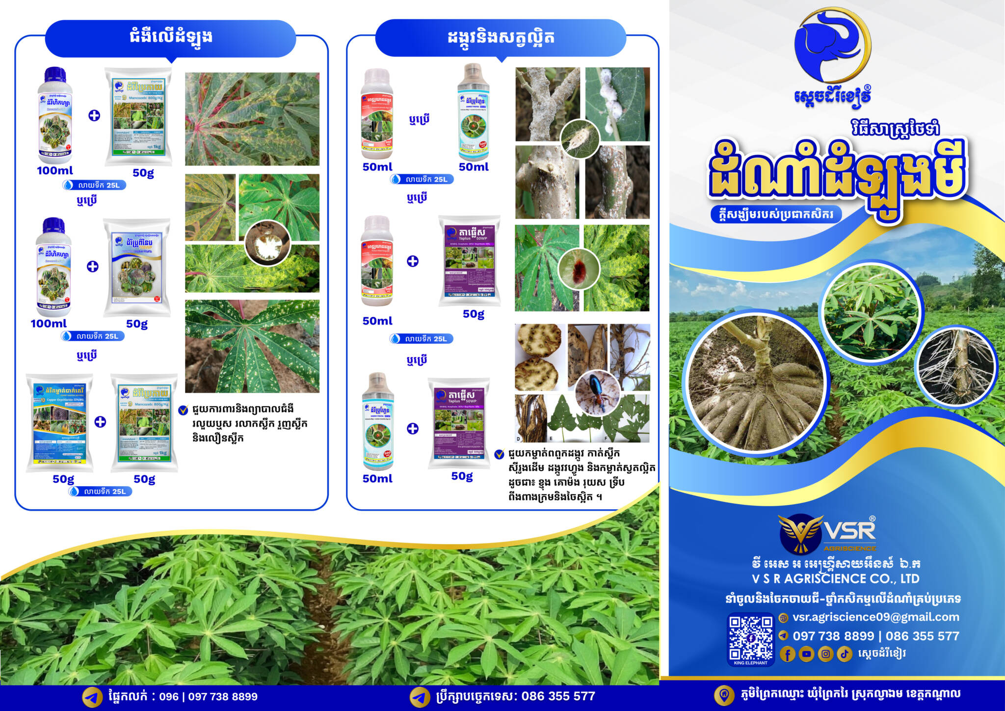 BROCHURE_ដំណាំដំឡូងមី_ស្តេចដំរីខៀវ_V01_01