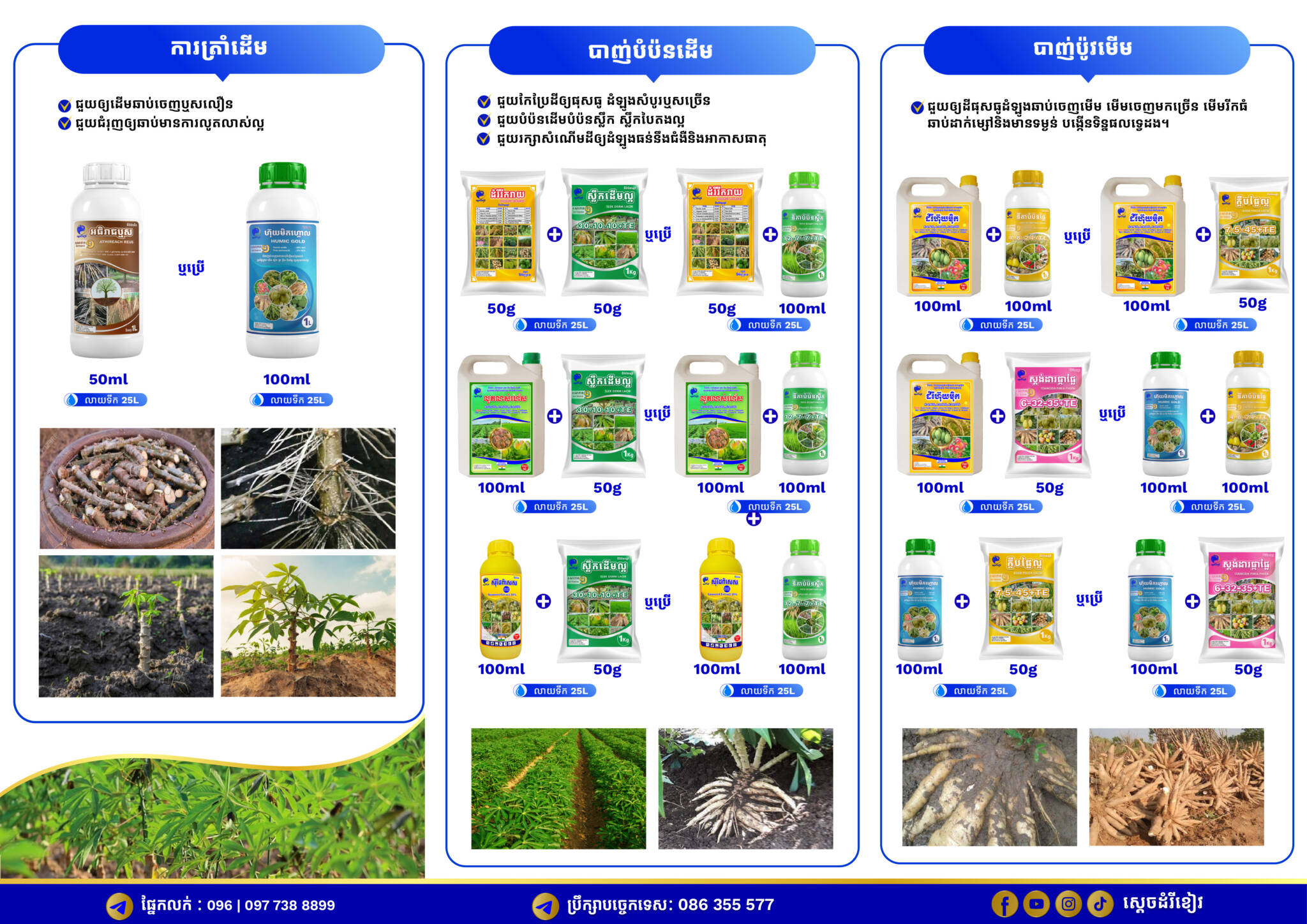 BROCHURE_ដំណាំដំឡូងមី_ស្តេចដំរីខៀវ_V01_02