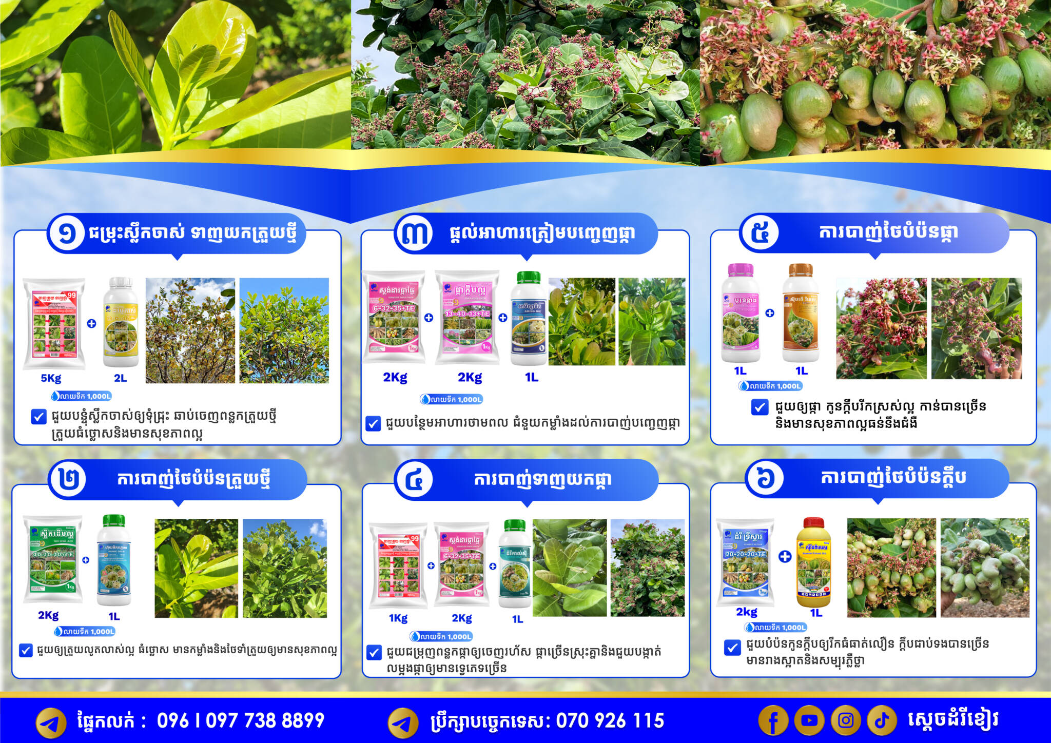 Brochure Cashew KE Final-01