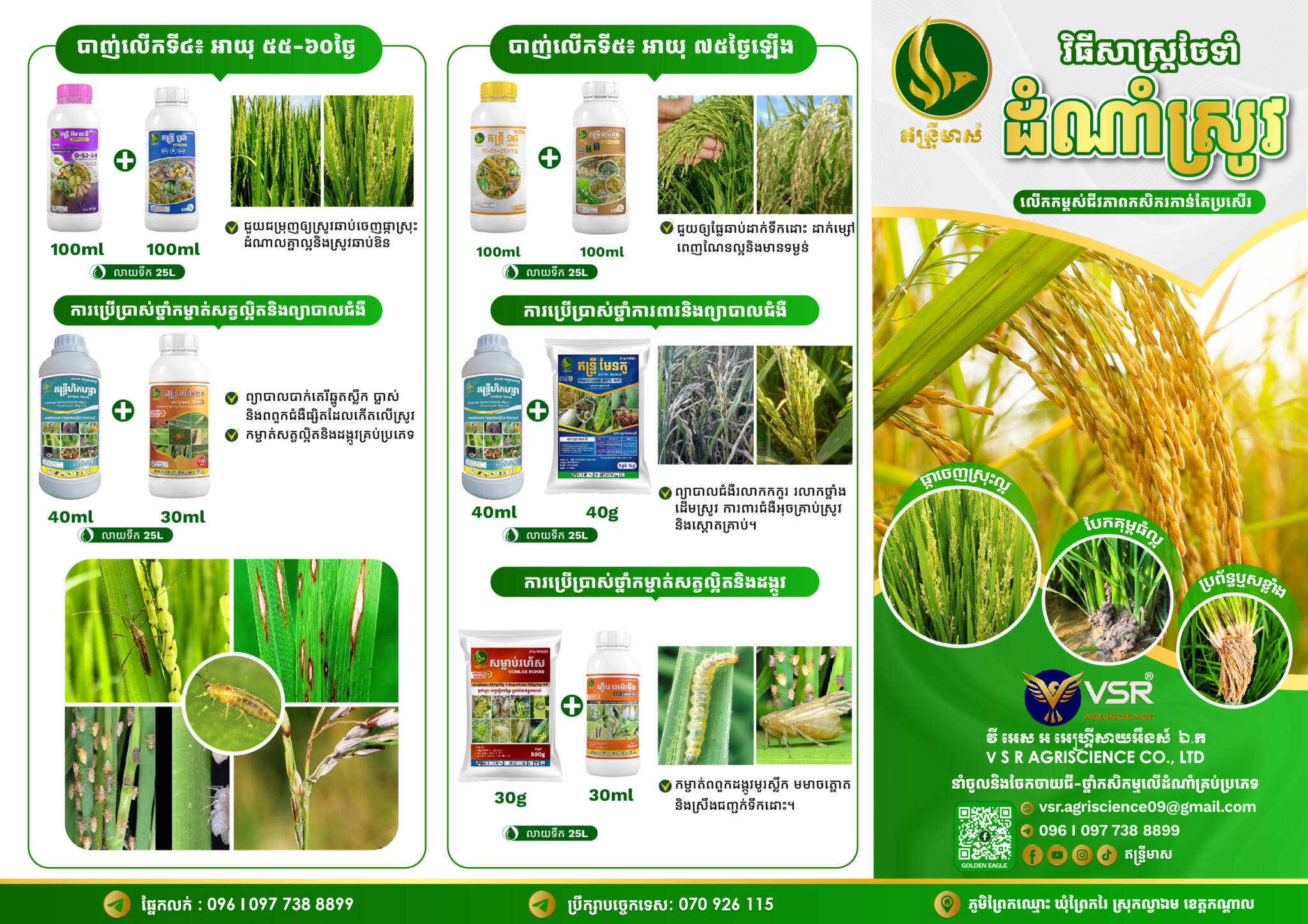 Brochure Rice GE1 Final