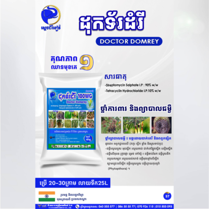 ដុកទ័រដំរី