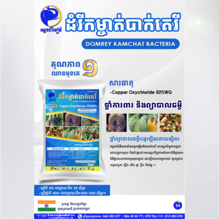 ដំរីកម្ចាត់បាក់តេរី