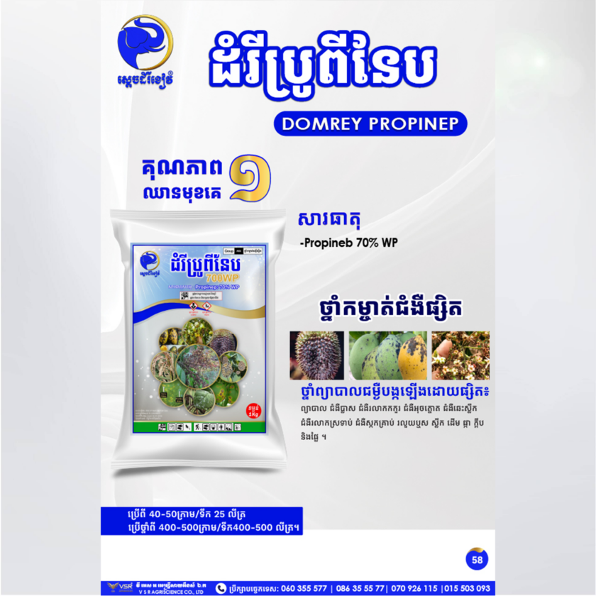 ដំរីប្រូពីនែប