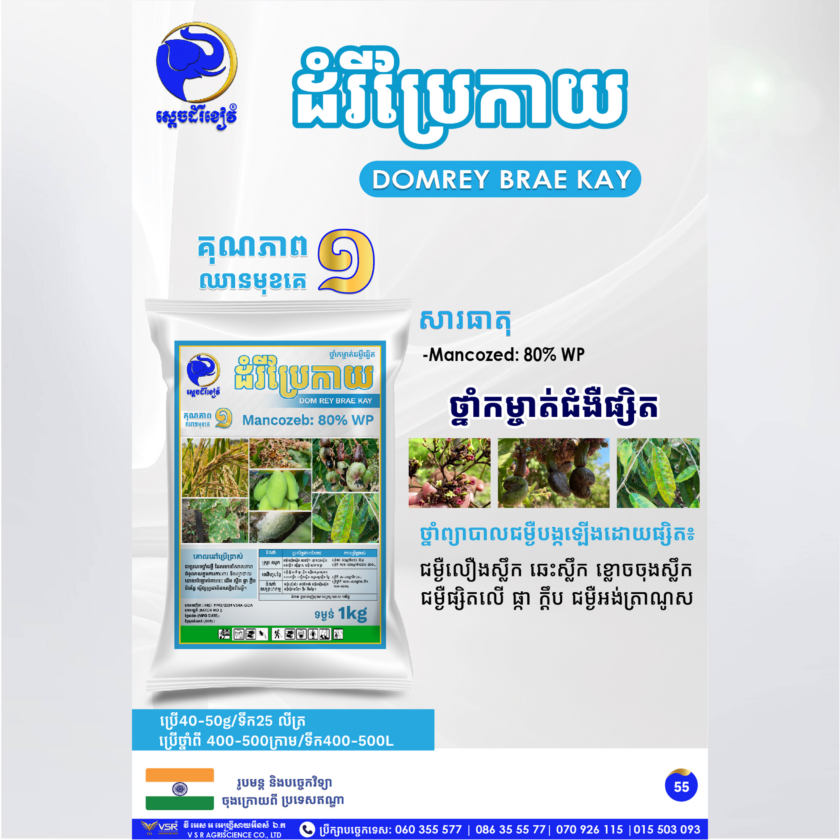 ដំរីប្រែកាយ