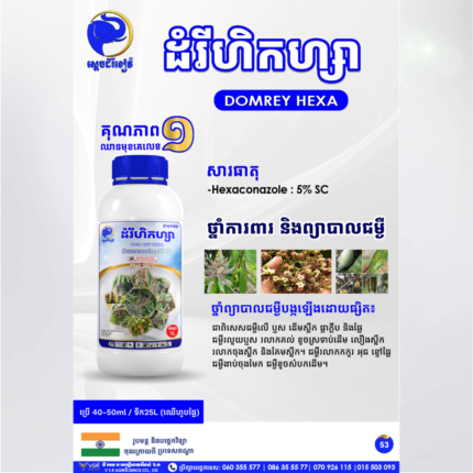 ដំរីហិកហ្សា