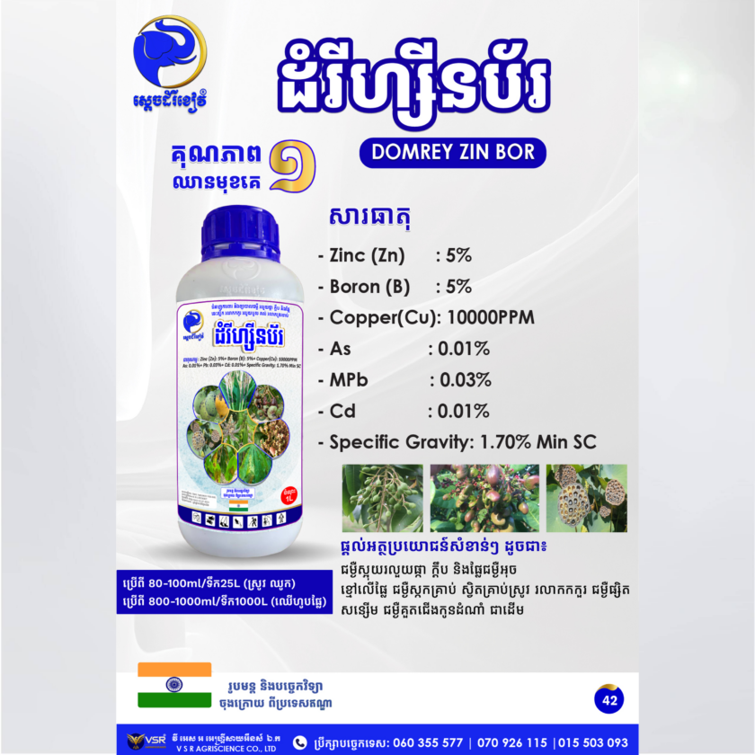 ដំរីហ្សីនប័រ