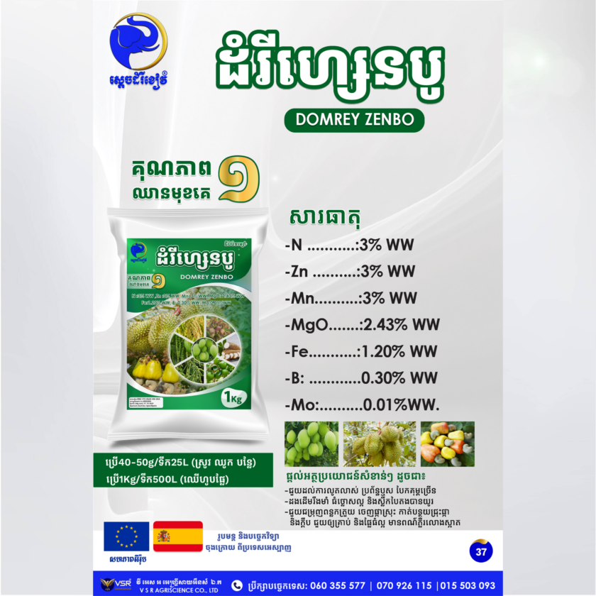 ដំរីហ្សេនបូ