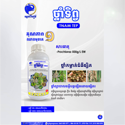 ថ្នាំទិព្វ