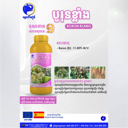 បូរុនខ្លាំង