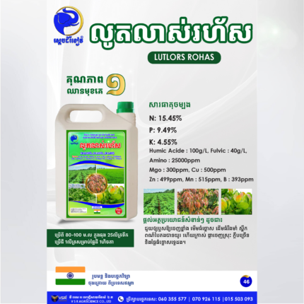 លូតលាស់រហ័ស