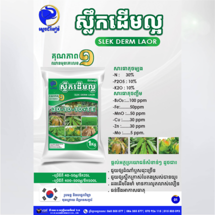 ស្លឹកដើមល្អ