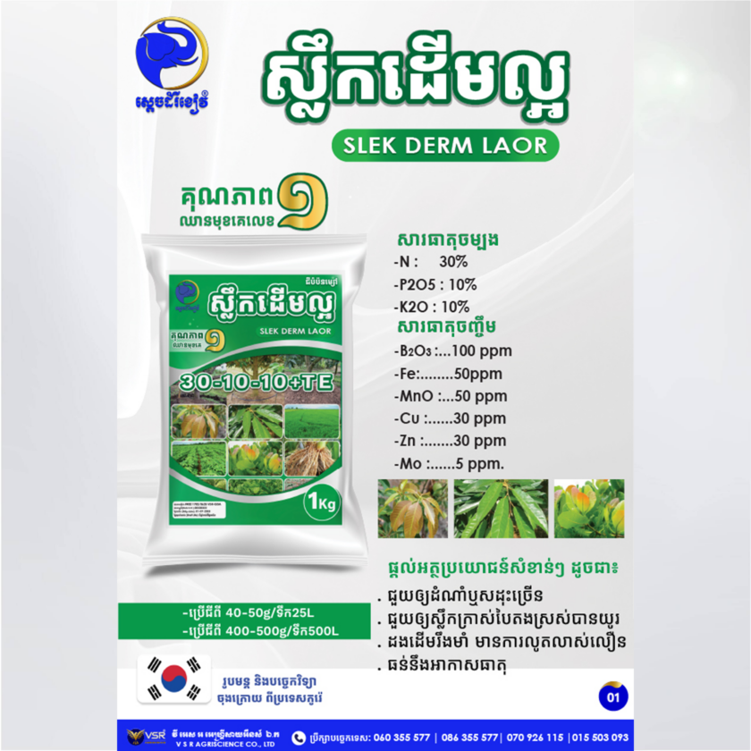 ស្លឹកដើមល្អ