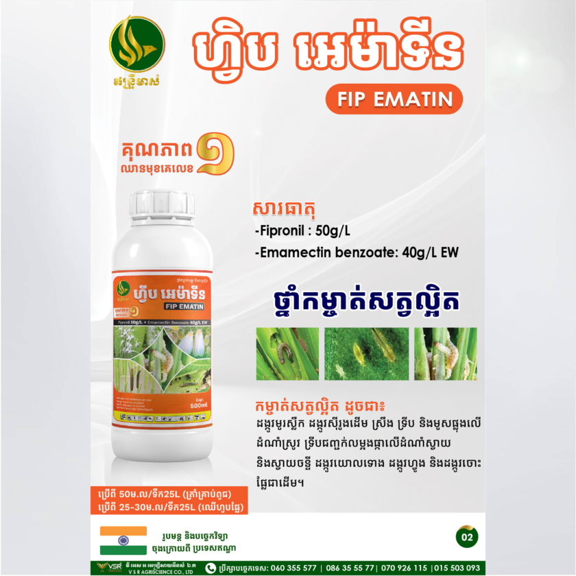 ហ្វិបអេម៉ាទីន