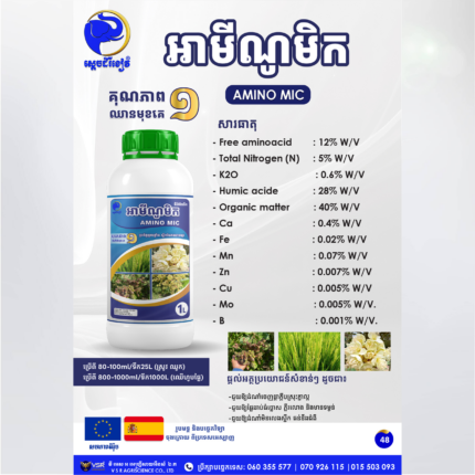អាមីណូមិក
