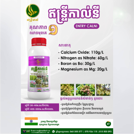 ឥន្ទ្រីកាល់នី