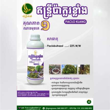 ឥន្ទ្រីប៉ាក្លរខ្លាំង