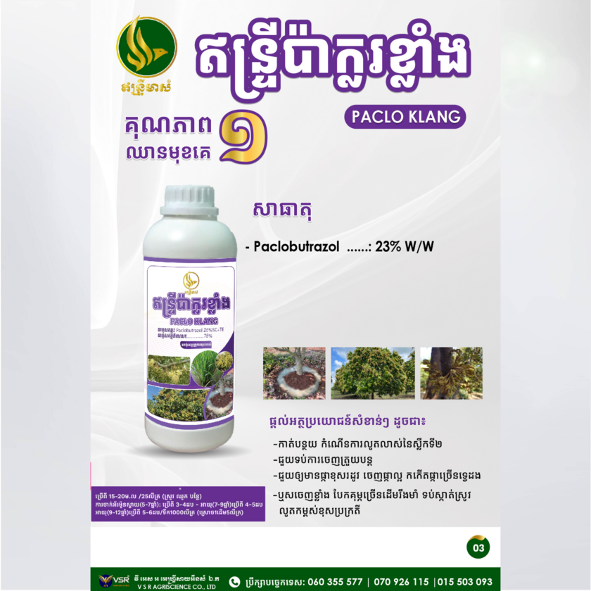 ឥន្ទ្រីប៉ាក្លរខ្លាំង