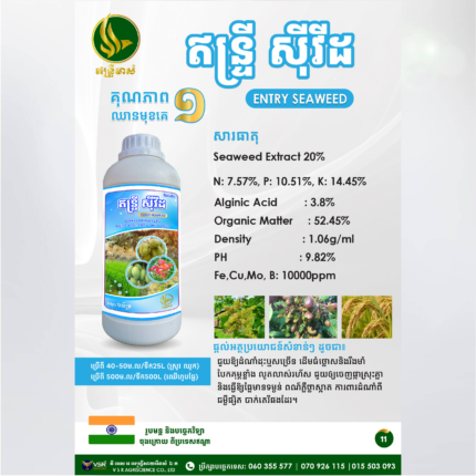 ឥន្ទ្រីស៊ីវីដ