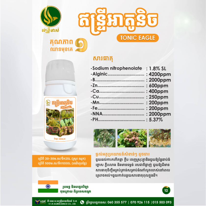 ឥន្ទ្រីអាតូនិច