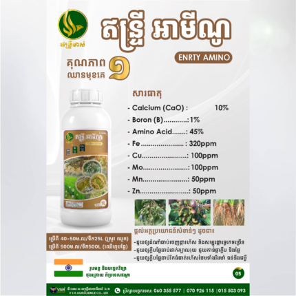 ឥន្ទ្រីអាមីណូ